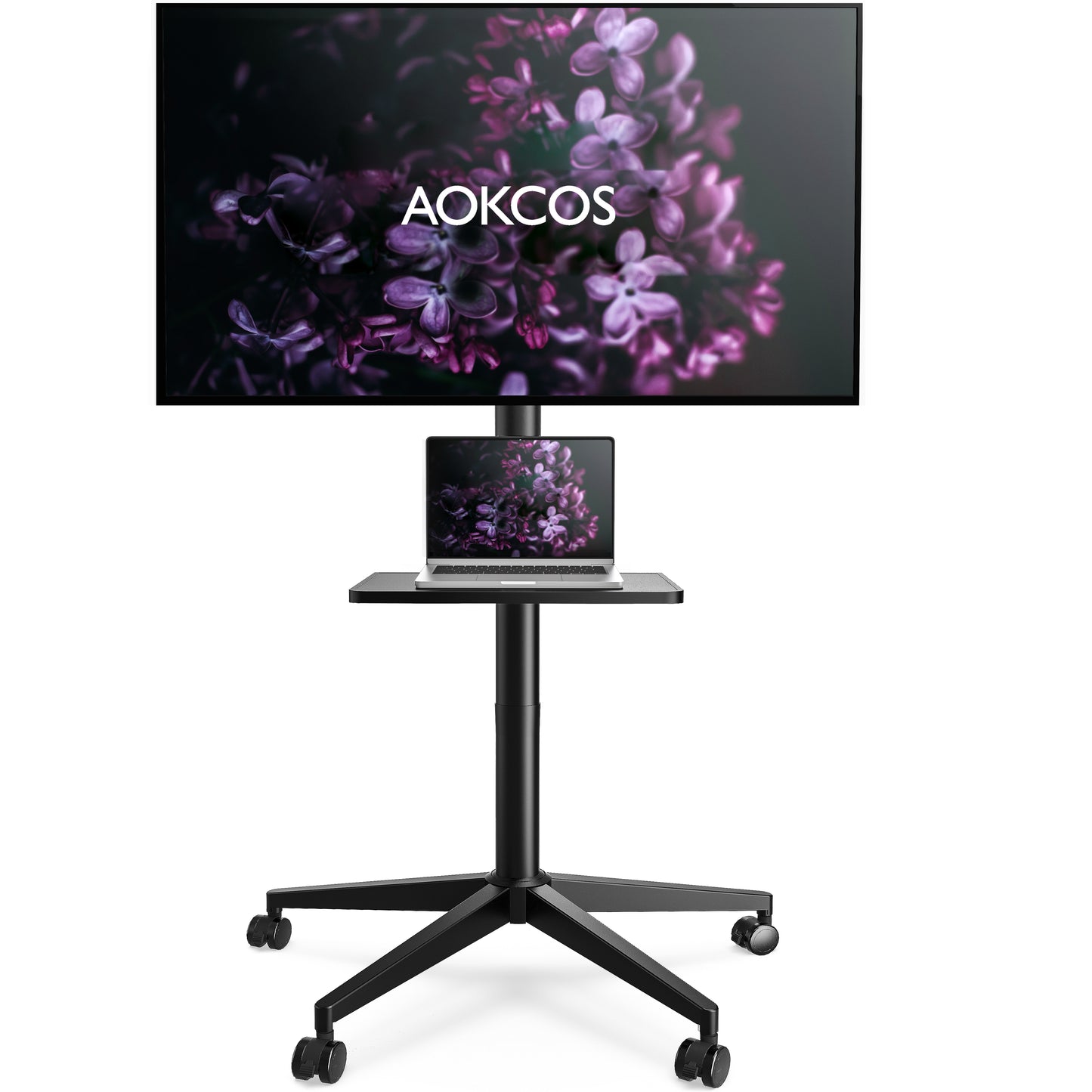 CA TCB65 Mobile TV Stand