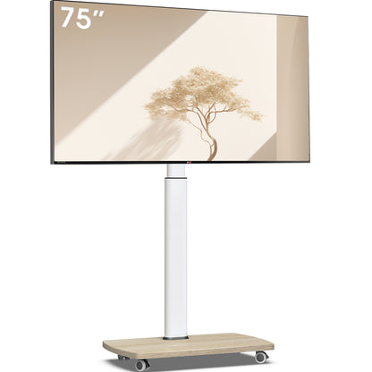 CE FT75 Mobile TV Stand