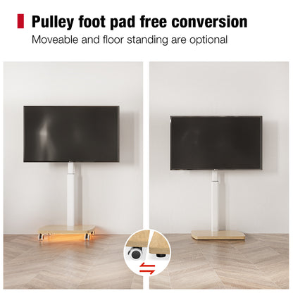 CE FT75 Mobile TV Stand with LED light